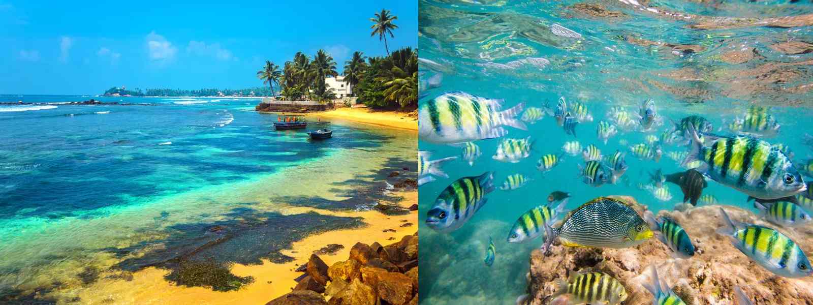 මෙරට මුහුදු පද්ධතිය අනතුරේද?